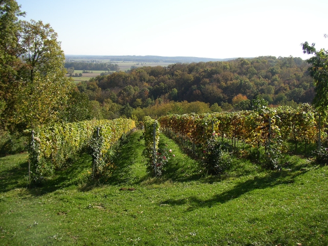 2008-10-18 Herbstausfahrt zum Heurigen Heindl